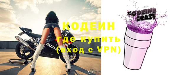 хмурый Алзамай