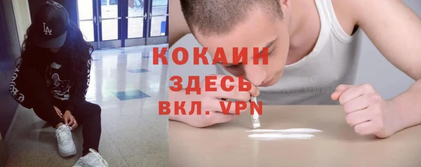 хмурый Алзамай