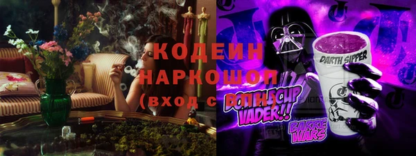 хмурый Алзамай