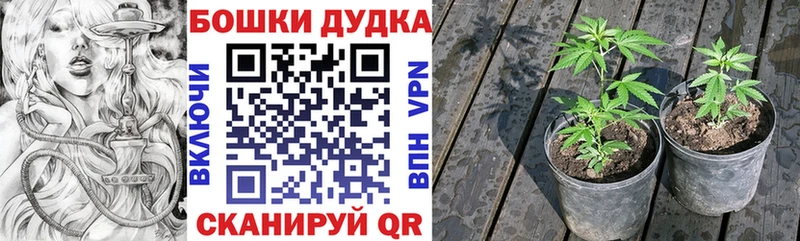 купить наркотики сайты  kraken маркетплейс  Шишки марихуана семена  Аткарск 